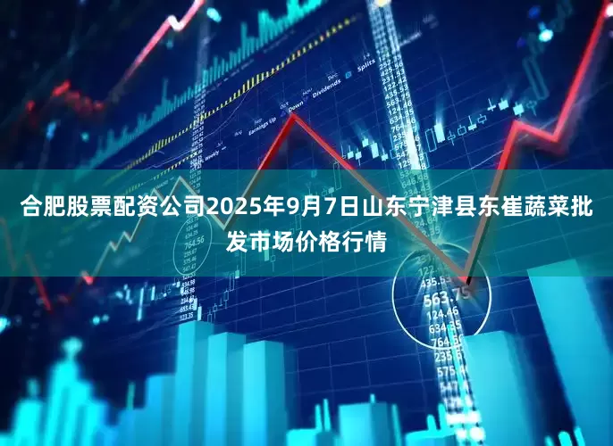合肥股票配资公司2025年9月7日山东宁津县东崔蔬菜批发市场价格行情