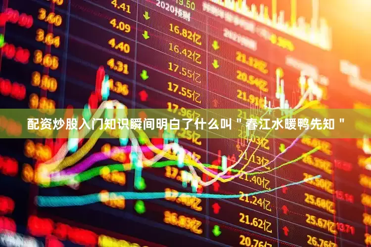 配资炒股入门知识瞬间明白了什么叫＂春江水暖鸭先知＂