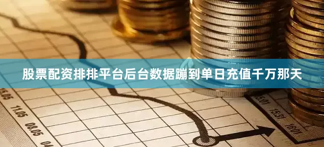 股票配资排排平台后台数据蹦到单日充值千万那天